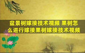 盆景树嫁接技术视频 果树怎么进行嫁接果树嫁接技术视频